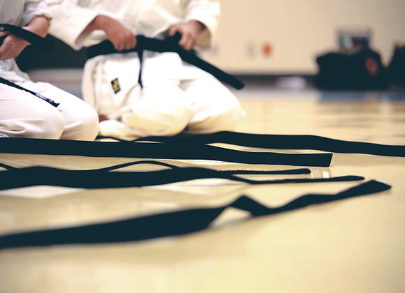 Ceinture noire de karaté