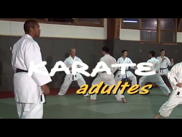 KCVO Karaté adultes